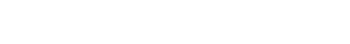 Digital Fast
